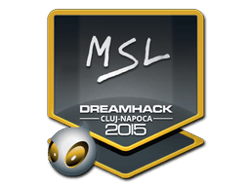 MSL | Cluj-Napoca 2015