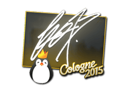fox | Cologne 2015