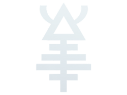 Aeldari 2