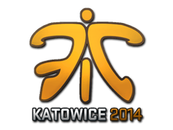 Fnatic (Holo) | Katowice 2014