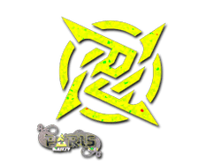 Ninjas in Pyjamas (Glitter) | Paris 2023