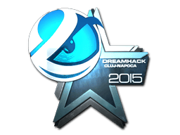 Luminosity Gaming (Foil) | Cluj-Napoca 2015