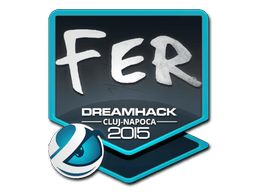 fer | Cluj-Napoca 2015