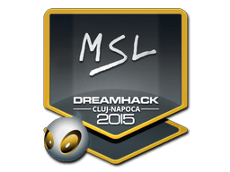 MSL | Cluj-Napoca 2015