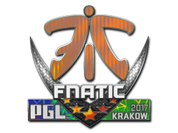 Fnatic (Holo) | Krakow 2017