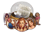 Pinups Capsule