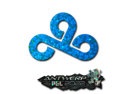 Item preview