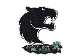 Item preview