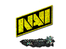 Item preview