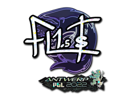 Item preview