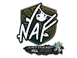 Item preview