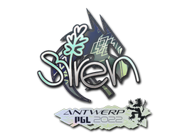 Item preview