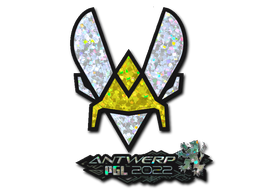 Item preview