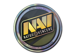 Item preview