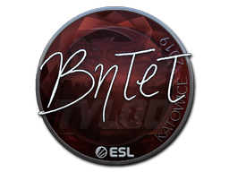 Item preview