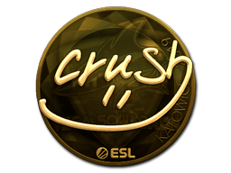 Item preview