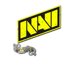 Item preview