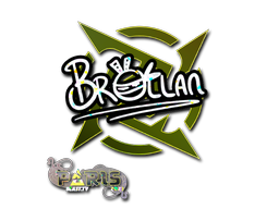 Item preview