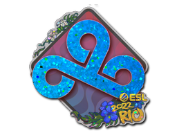 Item preview