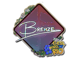 Item preview