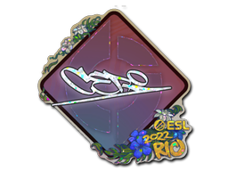 Item preview