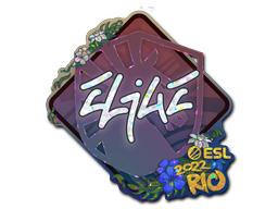 Item preview