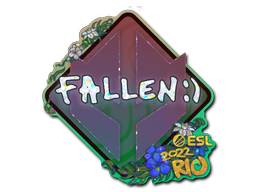 Item preview