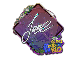 Item preview