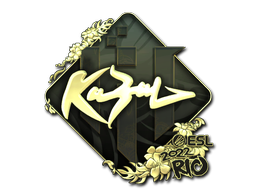 Item preview