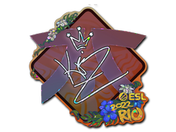 Item preview