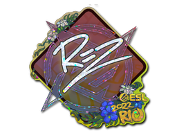 Item preview