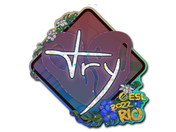 Item preview
