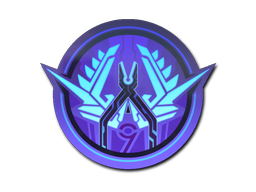 Item preview