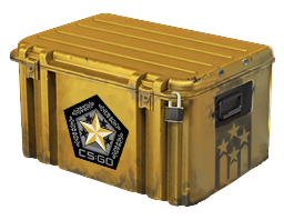 Gamma 2 Case